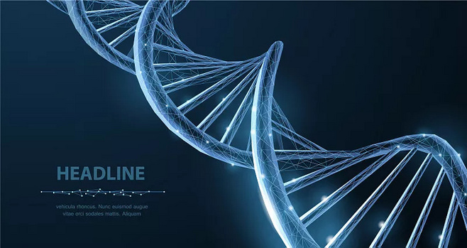 生物科技創(chuàng)意圖片圖片素材_ID:VCG211249488770