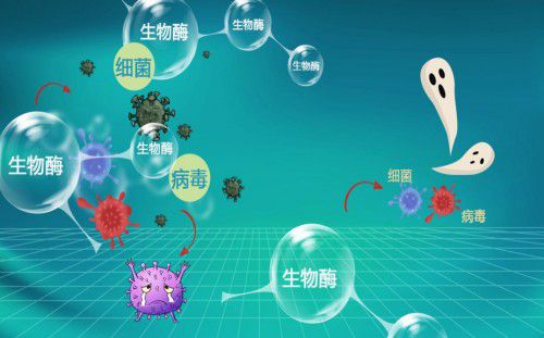 消殺抑菌凈化難兩全 福賽生物用生物科技和ai技術讓理想變為現實