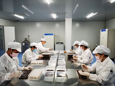 &ldquo;四蟲一劑&rdquo;引領科技創新全面塑造發展新優勢