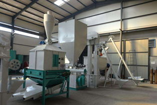 農(nóng)村不起眼的小商機(jī),背后藏著大財(cái)富