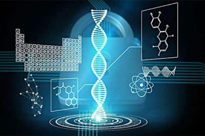 肥胖也會影響壽命,腰圍成重要因素?美學(xué)者發(fā)現(xiàn)壽命干預(yù)新物質(zhì)