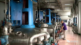 新會昂首闊步走創新驅動發展之路,奏響 第一動力 的時代樂章