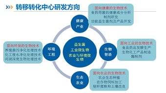 直通車路演項目 全鏈條生物技術開發科技服務平臺項目