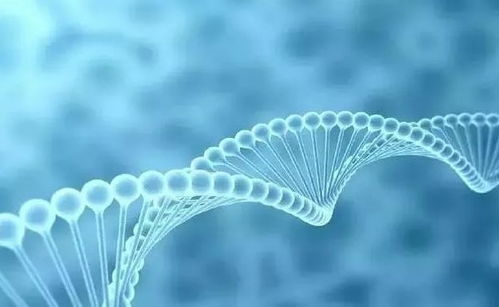 華生云康基因檢測,讓愛沒有遺憾