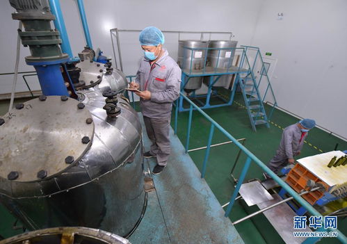 山東菏澤 牡丹花開產(chǎn)業(yè)紅