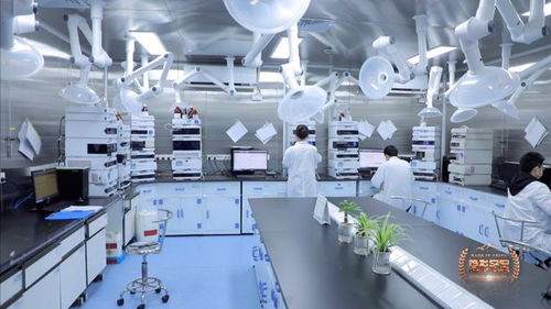 六元環(huán)三劍客 二十年死磕分子砌塊，讓中國(guó)技術(shù)嵌入全球藥脈