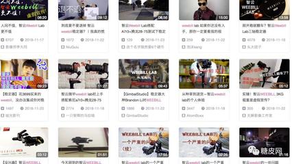智云WEEBILL穩(wěn)定器量產版“黑”評測 專業(yè)攝影師的掌中利器